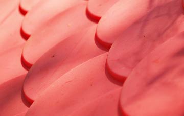 Bargrennan plastic roof costs