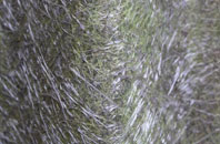 Bargrennan fibreglass roof work